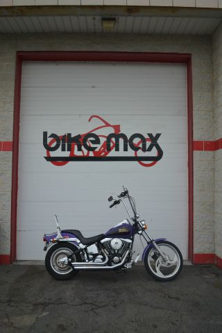 Harley Davidson Softail Custom 1999 photo 14