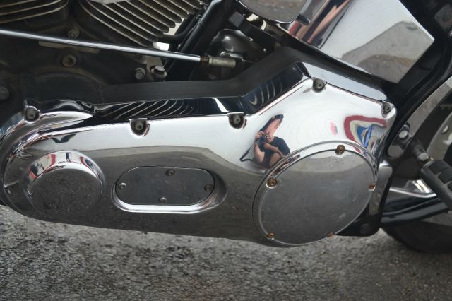 Harley Davidson Softail Custom 1999 photo 6