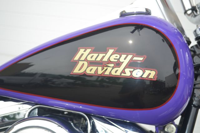 Harley Davidson Softail Custom 1999 photo 7