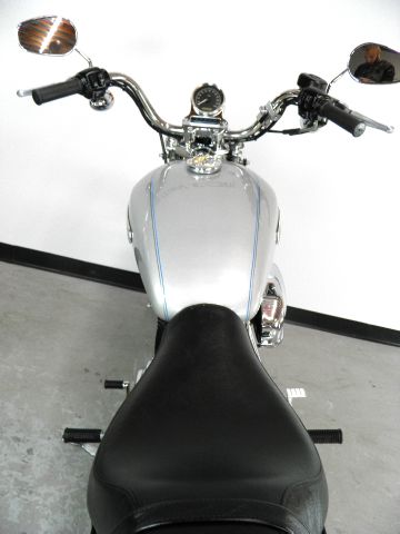 Harley Davidson XL1200L SPORTSTER LOW 2006 photo 12