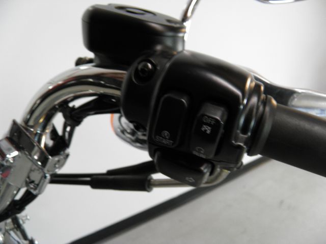 Harley Davidson XL1200L SPORTSTER LOW 2006 photo 9