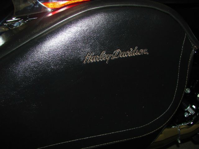 Harley Davidson XL 1200 Sportster 2003 photo 11