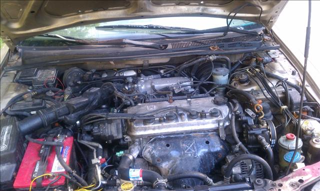 Honda Accord 1995 photo 2