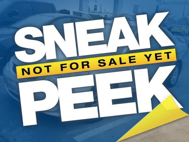 Honda Civic Elk Conversion Van Unspecified