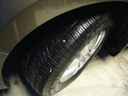 Honda Odyssey 2010 photo 1