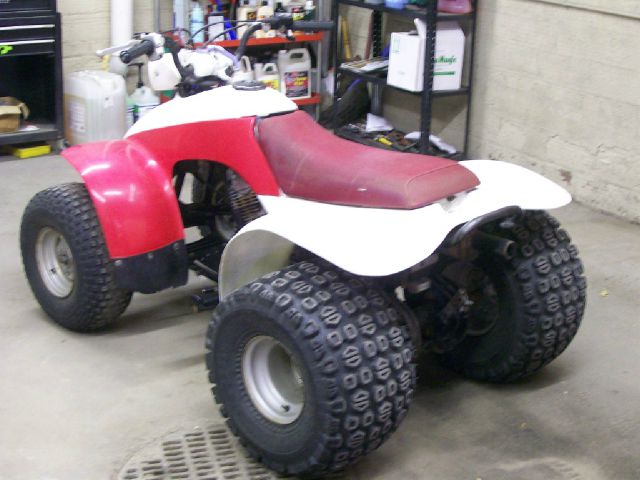 Honda TRX 125 1987 photo 2