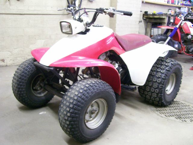 Honda TRX 125 1987 photo 3