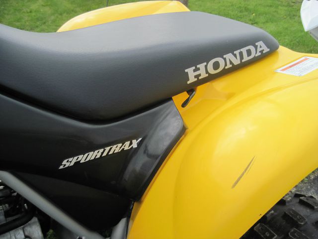 Honda TRX 250 2005 photo 3