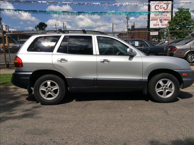 Hyundai Santa Fe 2001 photo 1