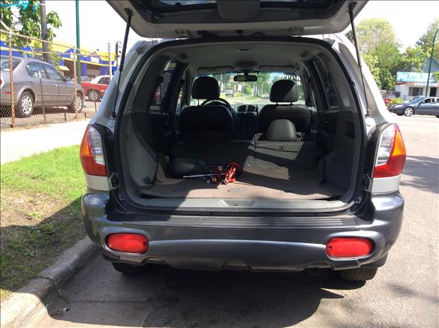 Hyundai Santa Fe 2001 photo 3