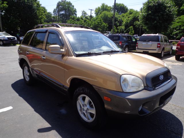 Hyundai Santa Fe 2001 photo 4