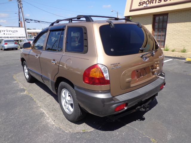 Hyundai Santa Fe 2001 photo 6