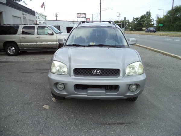 Hyundai Santa Fe 2002 photo 3