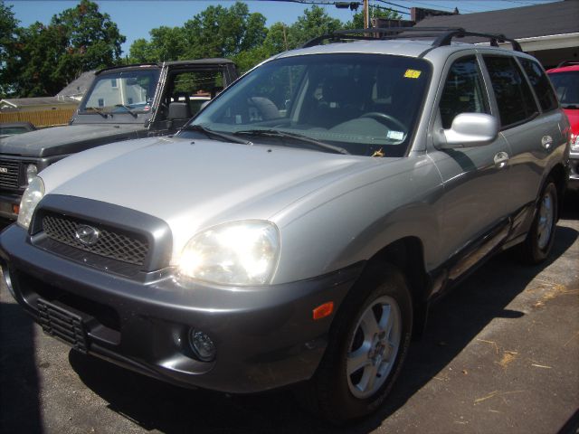Hyundai Santa Fe 2002 photo 4