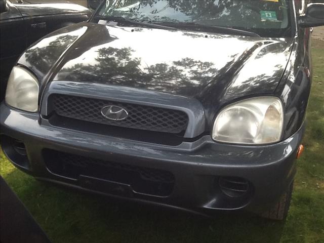 Hyundai Santa Fe 2002 photo 1