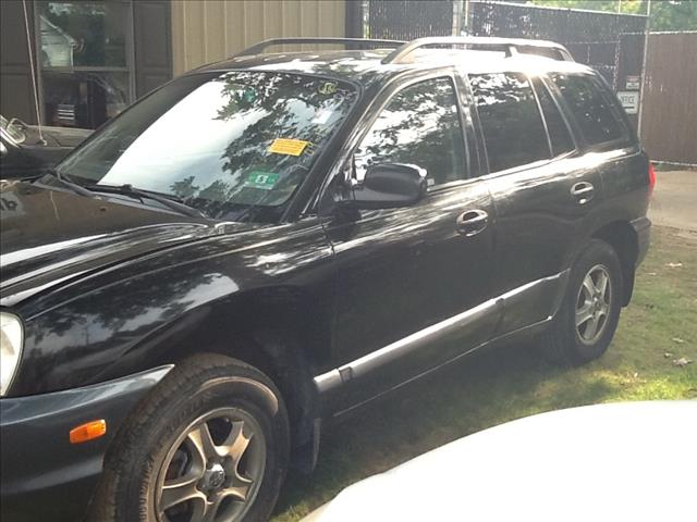 Hyundai Santa Fe 2002 photo 2