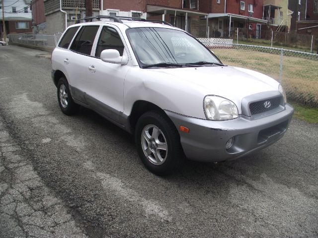 Hyundai Santa Fe 2002 photo 3