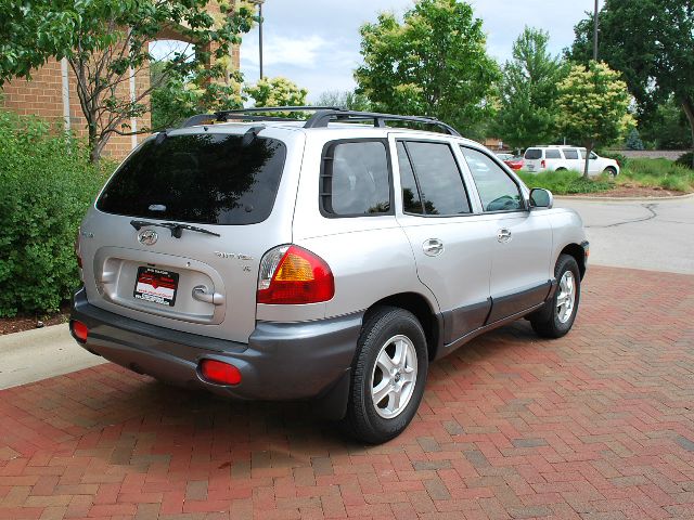 Hyundai Santa Fe 2002 photo 1