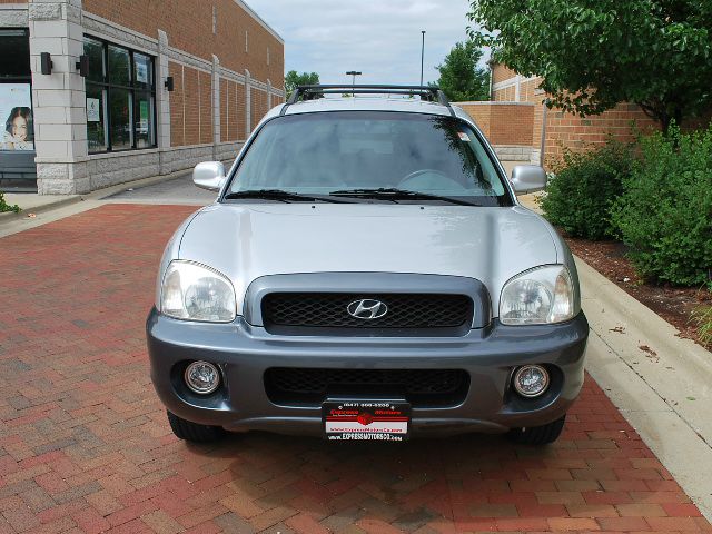 Hyundai Santa Fe 2002 photo 3