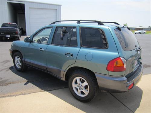 Hyundai Santa Fe 2002 photo 3