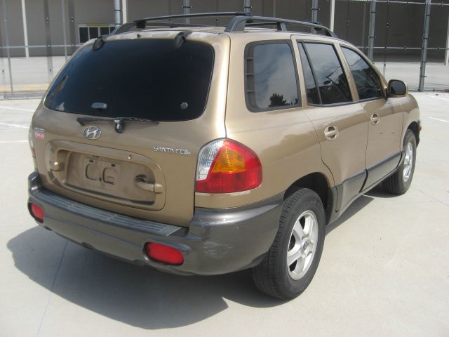 Hyundai Santa Fe 2002 photo 4