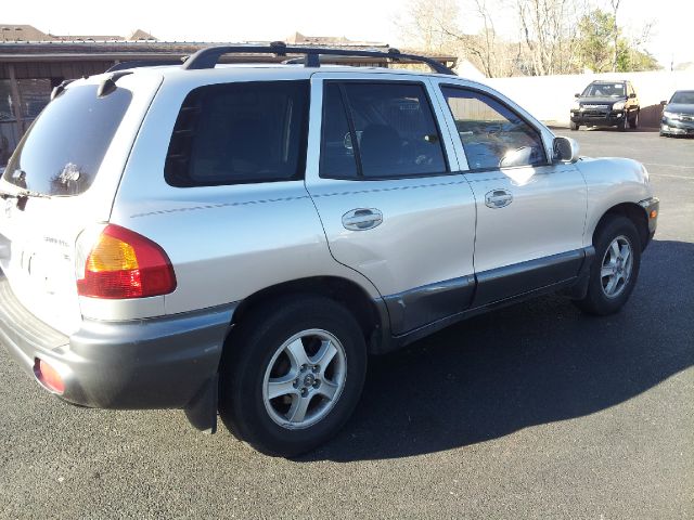 Hyundai Santa Fe 2002 photo 1