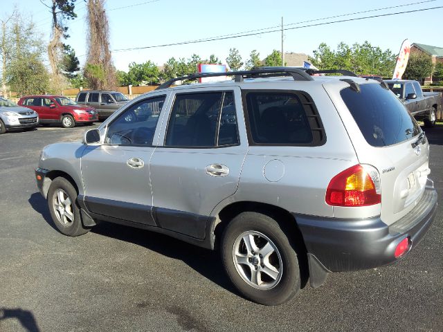 Hyundai Santa Fe 2002 photo 4