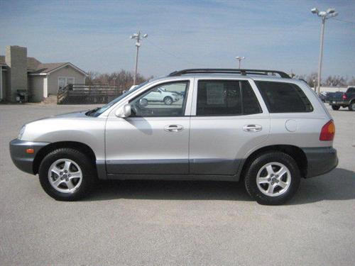 Hyundai Santa Fe 2002 photo 4