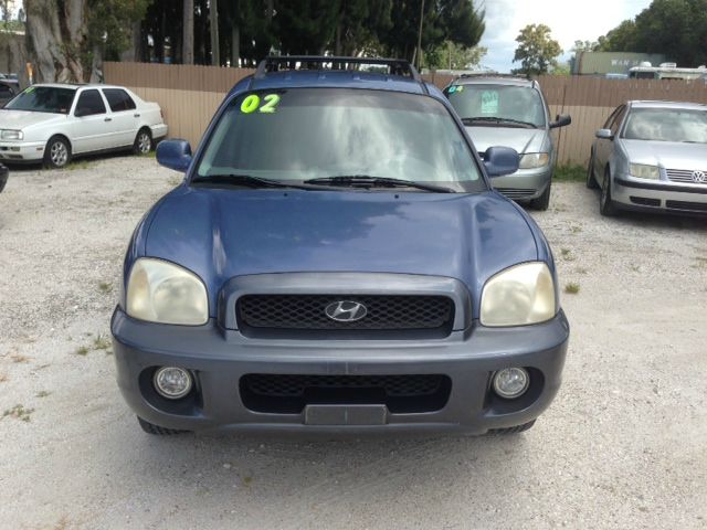 Hyundai Santa Fe 2002 photo 1
