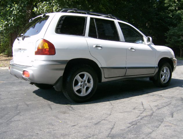 Hyundai Santa Fe 2002 photo 1