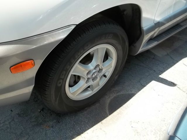 Hyundai Santa Fe 2002 photo 1