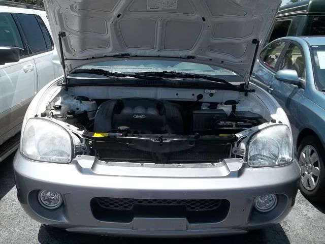 Hyundai Santa Fe 2002 photo 3