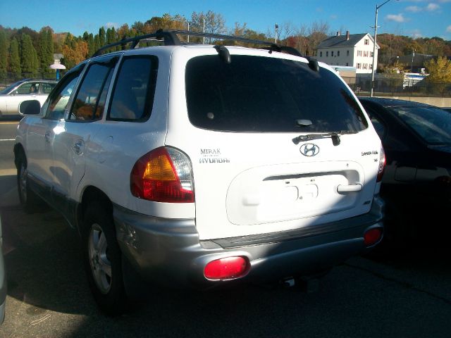 Hyundai Santa Fe 2002 photo 1