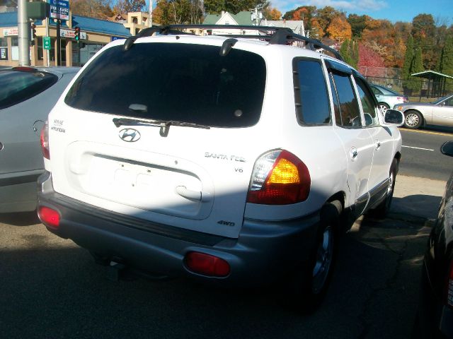 Hyundai Santa Fe 2002 photo 2