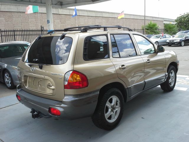 Hyundai Santa Fe 2002 photo 1