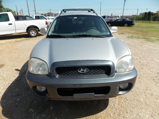 Hyundai Santa Fe 2002 photo 1