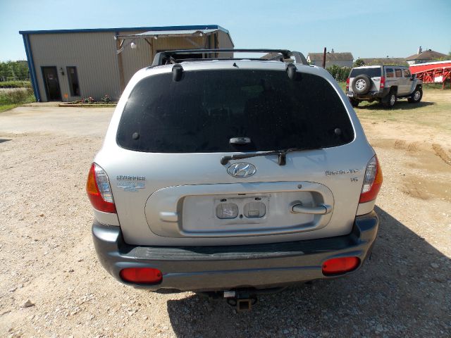Hyundai Santa Fe 2002 photo 2