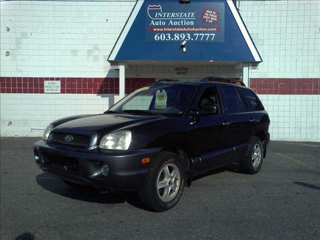 Hyundai Santa Fe 2002 photo 1