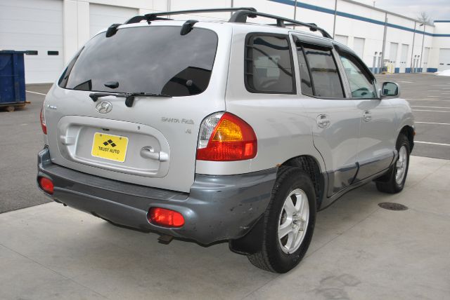 Hyundai Santa Fe 2002 photo 2