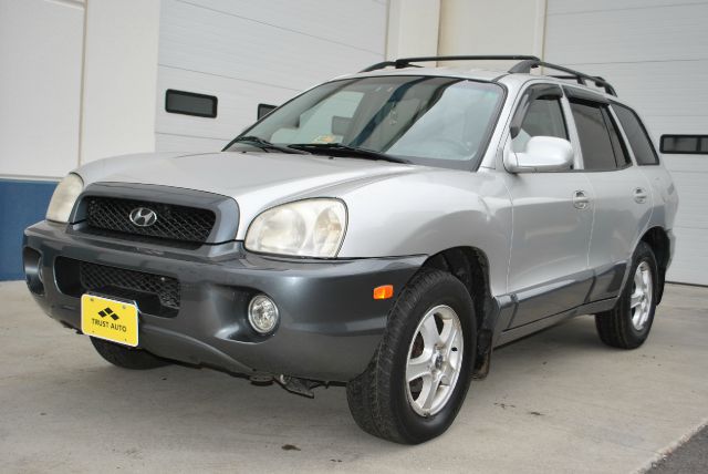 Hyundai Santa Fe 2002 photo 4