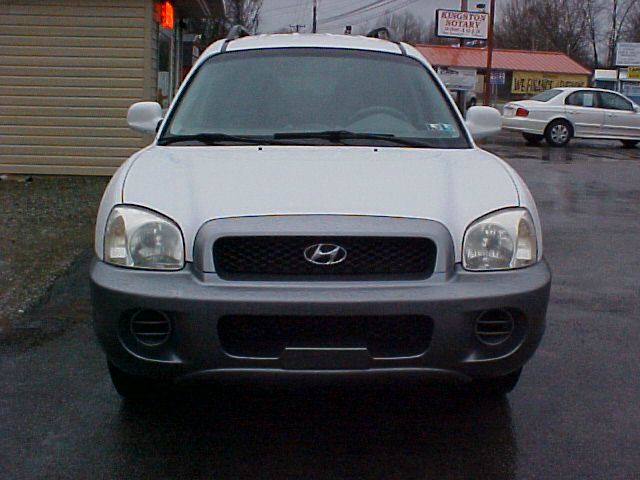 Hyundai Santa Fe 2002 photo 4