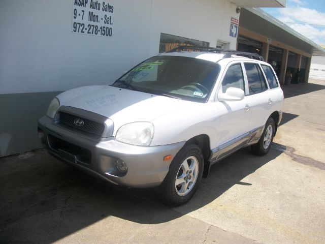 Hyundai Santa Fe 2002 photo 1
