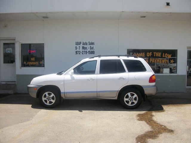 Hyundai Santa Fe 2002 photo 3