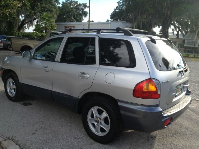 Hyundai Santa Fe 2002 photo 1