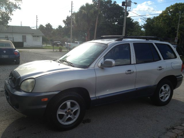 Hyundai Santa Fe 2002 photo 4