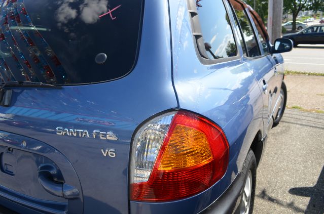 Hyundai Santa Fe 2002 photo 1