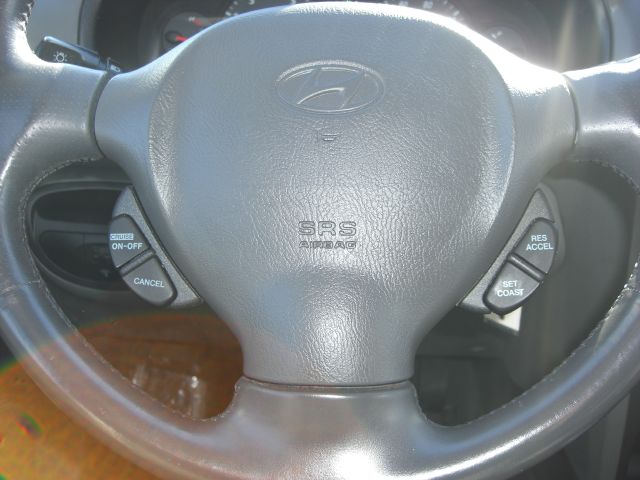 Hyundai Santa Fe 2003 photo 3