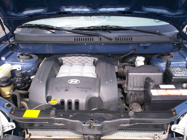 Hyundai Santa Fe 2003 photo 5