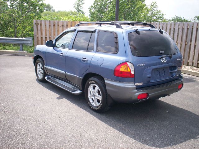 Hyundai Santa Fe 2003 photo 9
