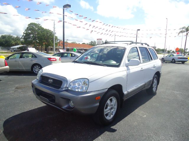 Hyundai Santa Fe 2003 photo 10